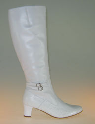 Осенне-весенние сапоги 121375